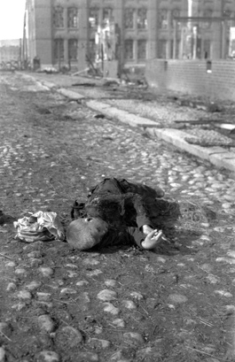 Ett av inbördeskrigets många offer, en pojke med händerna knäppta in i döden.