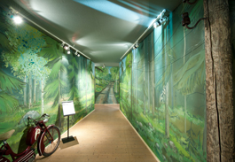En tunnel av målad grönska leder in till mopedernas paradis. Foto: Björn Grankvist, Murberget Länsmuseet Västernorrland