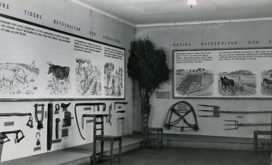Utställningen Jordbruket i Halland från 1931 är den första funktionalistiska museiutställningen i Sverige. Foto: Varbergs museum
