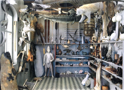 Ett exempel på samtidens fascination av Ole Worms museum är utställningen Room One, där den amerikanska konstnären Rosamond Purcell återskapade Museum Wormianum för Steno Museet i Århus 2010. Affischen (ovan) är en färglagd detalj av omslaget till Worms museums katalog 1655.