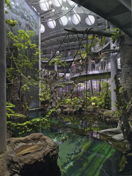 California Academy of Science öppnades 2008 och har snabbt blivit världsberömt bland annat för sin "helt gröna, ekologiskt hållbara" byggnad ritad av Renzo Piano. Kupolens yttertak är en odlingplats.