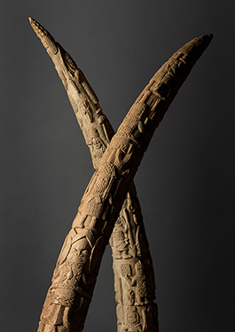 På de kungliga minnesaltarna i Benin placerades skulpterade elfenben som både berättade om händelser i kungarikets historia och i andlig bemärkelse länkade samman den regerande kungen med sina företrädare. Etnografiska museet i Stockholm.
Foto: Tony Sandin
