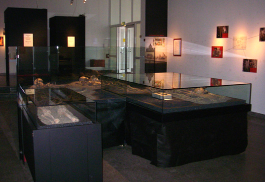 I utställningens entré möter höga svarta bås som innehåller videoinspelade intervjuer med de personer som samarbetat om tolkningen av gravfynden.