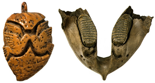 Amulett och underkäke av mammut.
